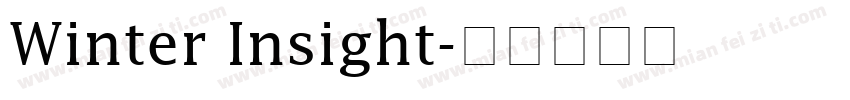 Winter Insight字体转换